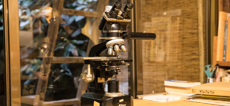 苔を観察する顕微鏡
