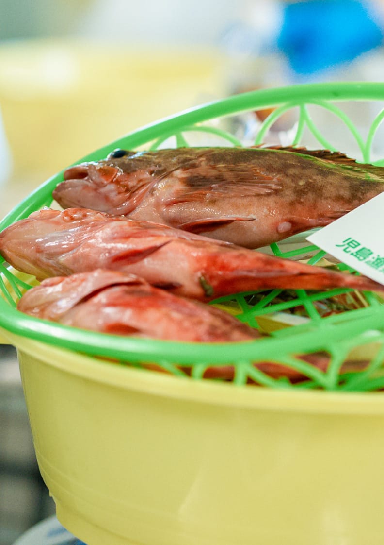 児島漁協直売所