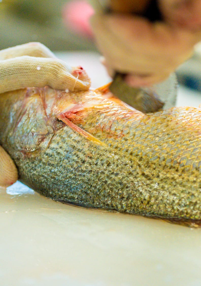 児島漁協直売所