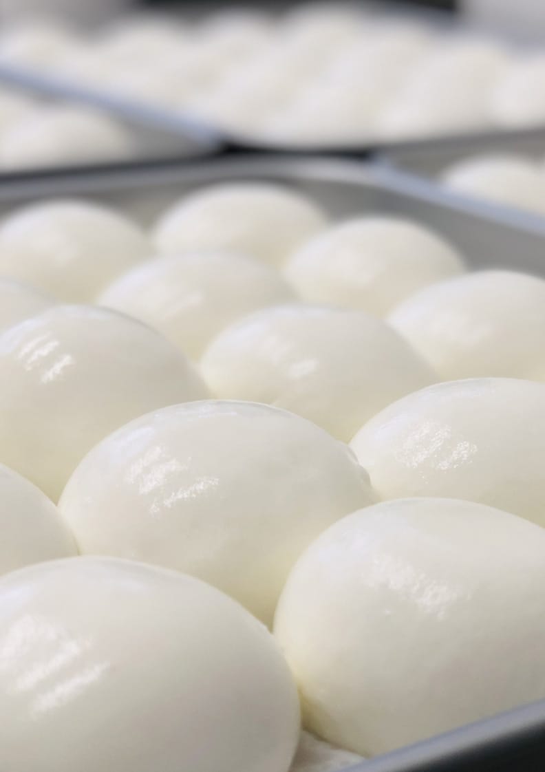 倉敷チーズ工房ハルパル