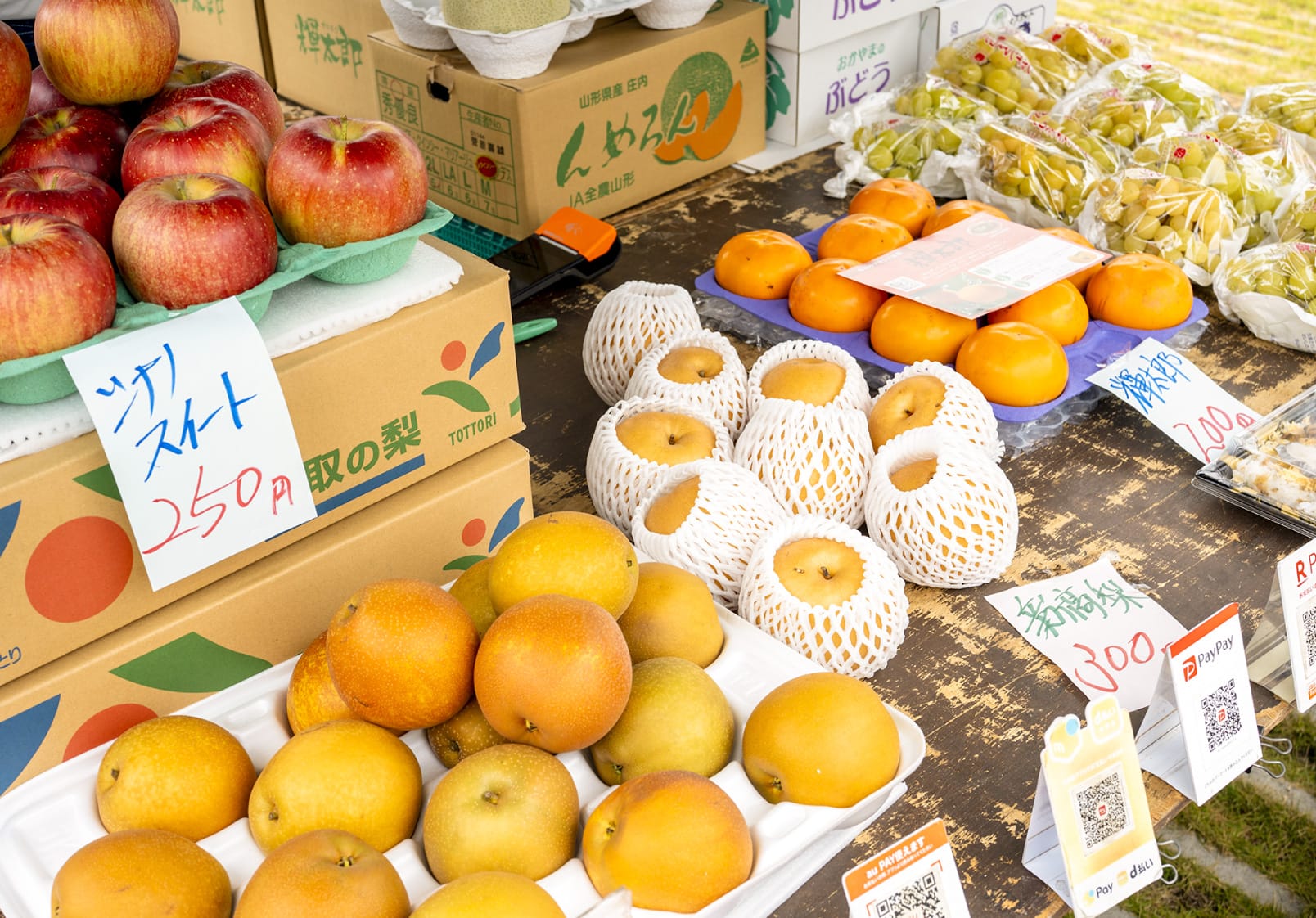 さまざまなフルーツ