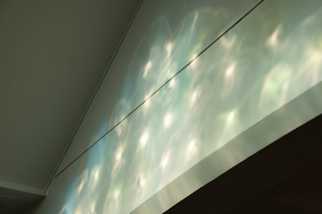 舩木倭帆氏による「木漏れ日からの発想」