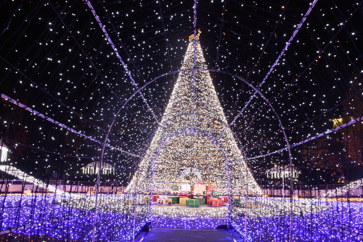 2016 X'masイルミネーションin水島 撮影してきました – クラシキ文華