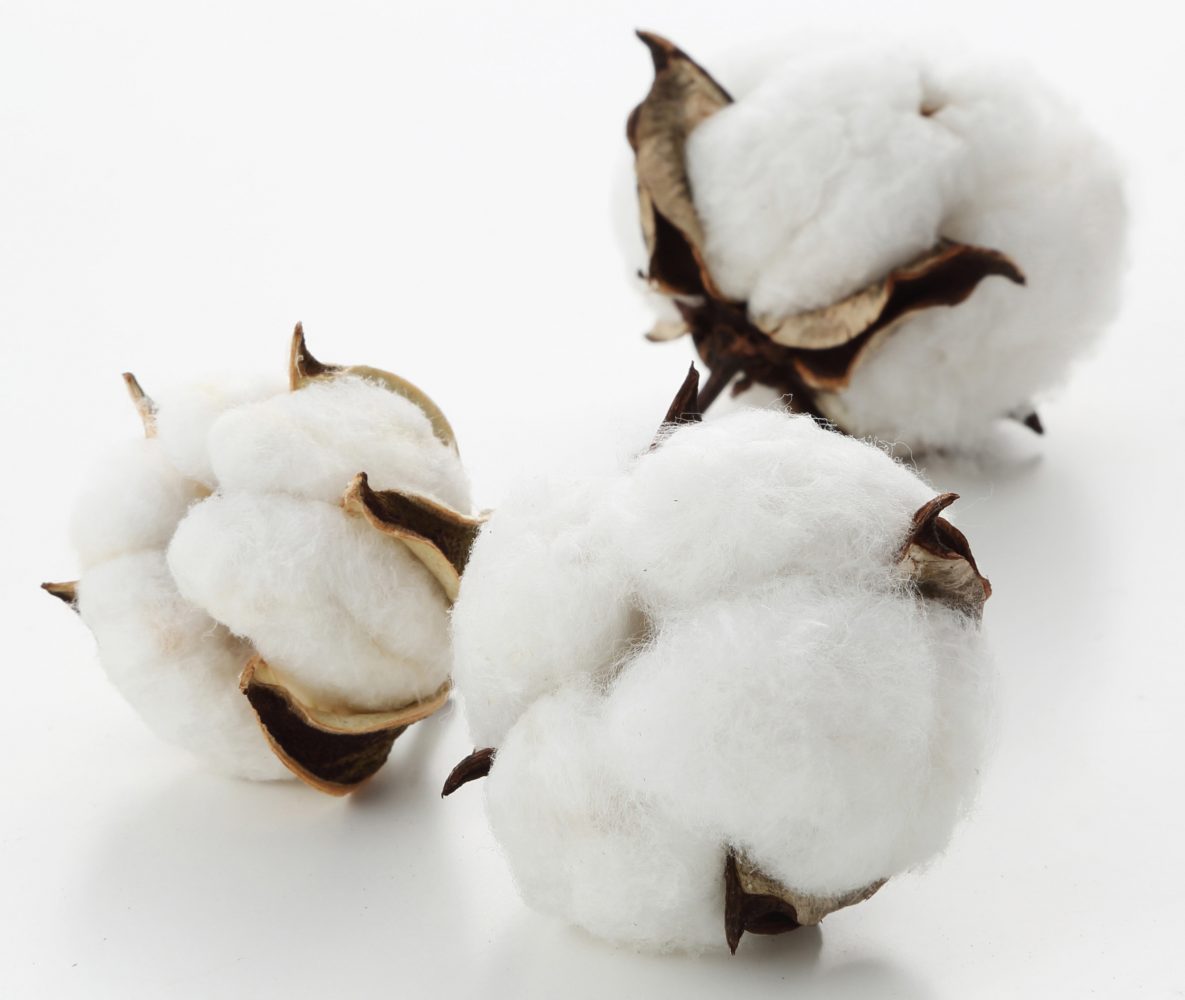 国産ジーンズ発祥の地　児島