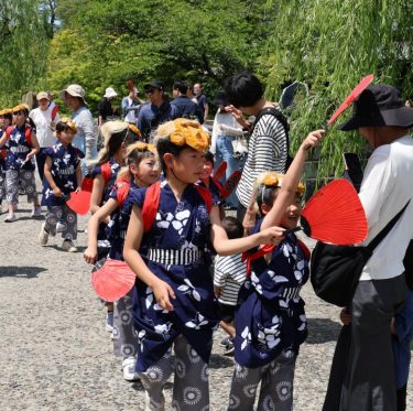 倉敷美観地区周辺に素隠居出没（２０２４年５月１８日） 1-3