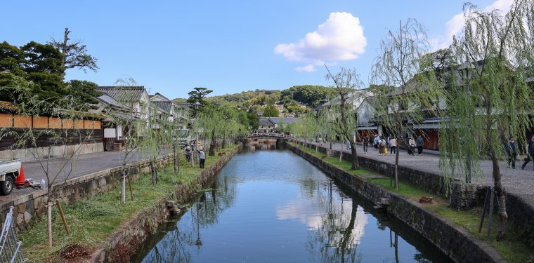 倉敷美観地区　柳が剪定されました（２０２４年９月１３日） 1-1