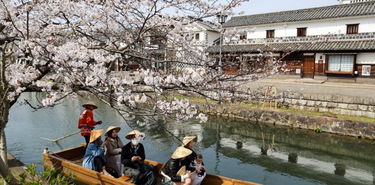 2025年4月5日 倉敷美観地区の桜 見ごろ