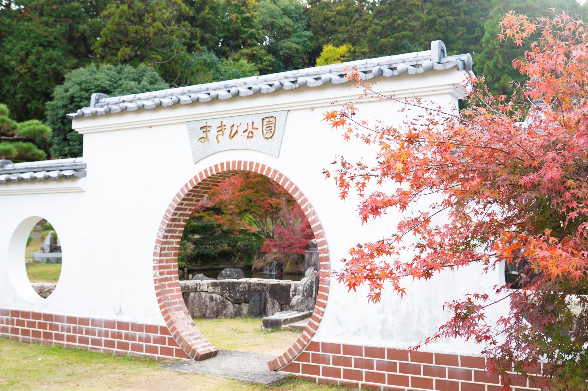 まきび公園の紅葉が見頃です – クラシキ文華