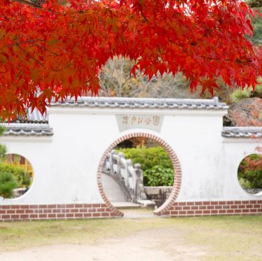 まきび公園の紅葉が見頃です 2-4