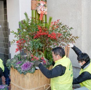 倉敷市役所本庁舎  門松設置 2-2