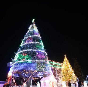 クラレ倉敷事業所「クリスマスファンタジー2025」 2-3