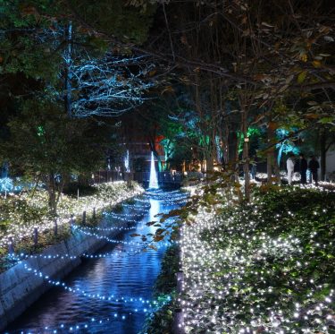 くらしき きらめきのみち　2025 2-4