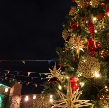 倉敷アイビースクエアのクリスマスツリー 3-1