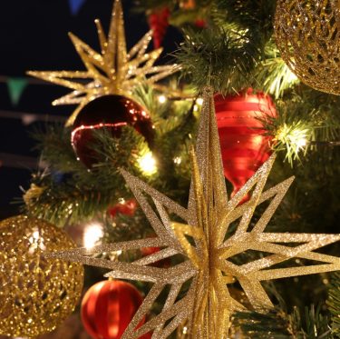 倉敷アイビースクエアのクリスマスツリー 2-2