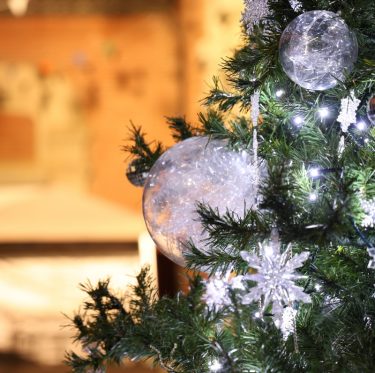 倉敷アイビースクエアのクリスマスツリー 3-4