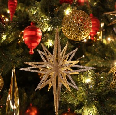 倉敷アイビースクエアのクリスマスツリー 1-2