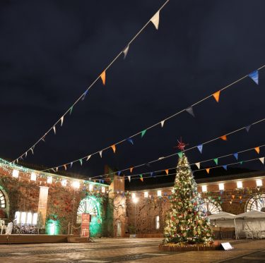 倉敷アイビースクエアのクリスマスツリー 2-4