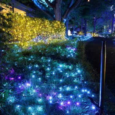 くらしき きらめきのみち　2025 2-2