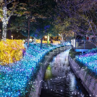 くらしき きらめきのみち　2025 2-3