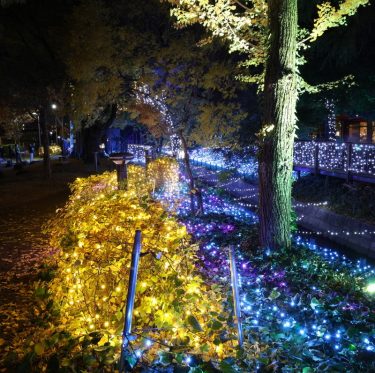 くらしき きらめきのみち　2025 3-1