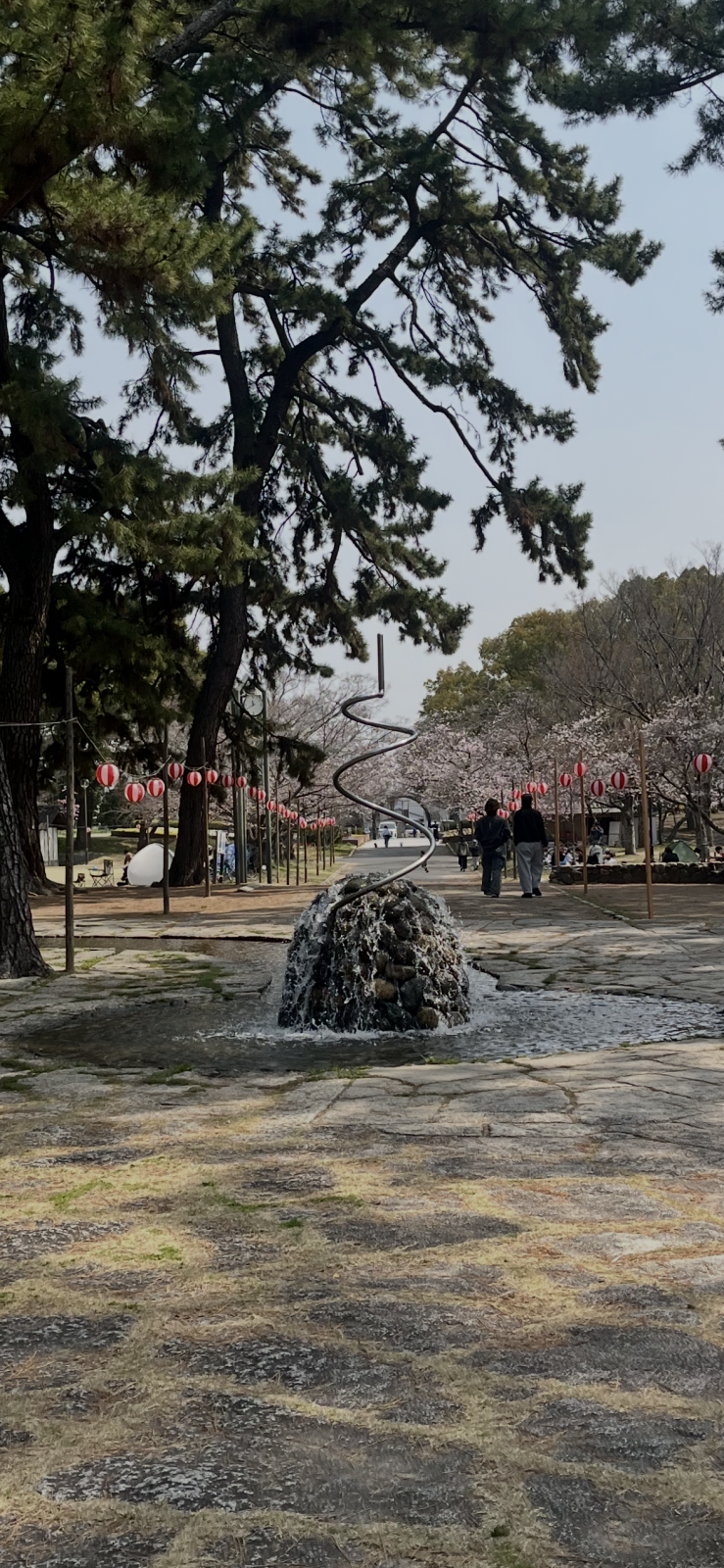 3月28日酒津公園の桜 ところどころ見ごろ