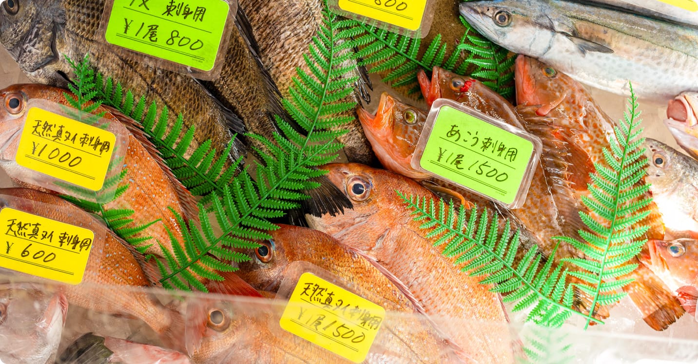 新鮮な瀬戸内海の魚介