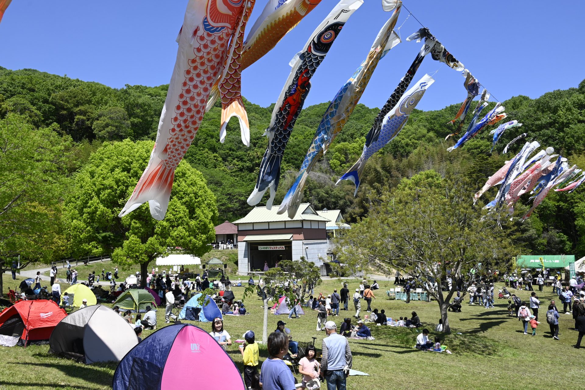 5月5日こいのぼりフェスティバル