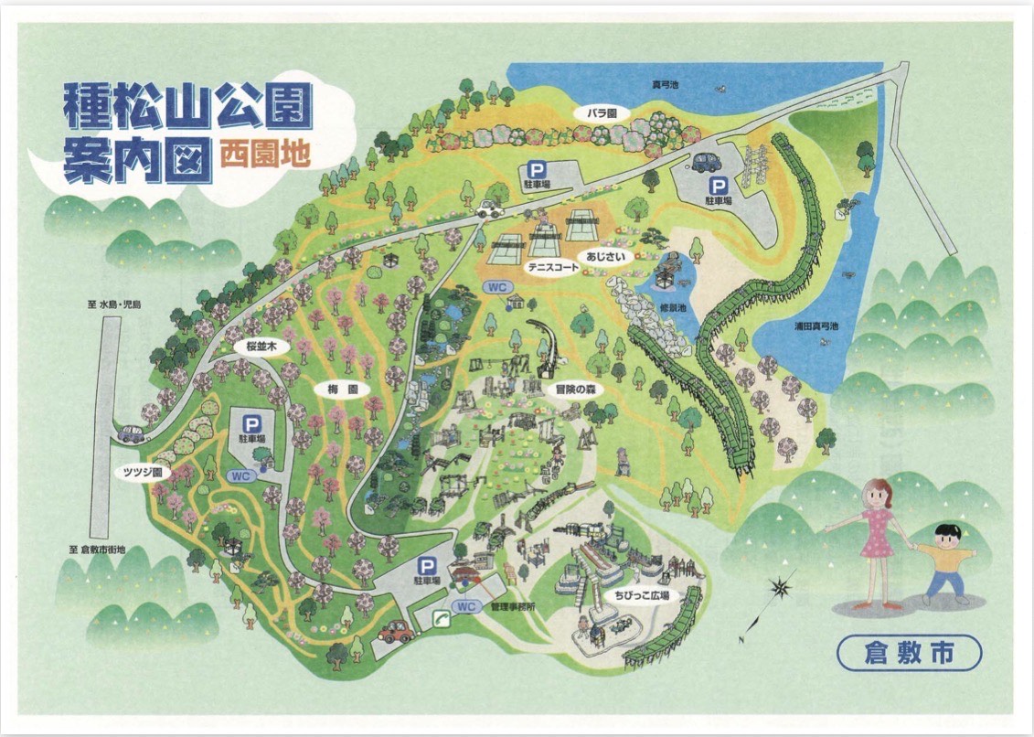 種松山公園西園地のバラ園