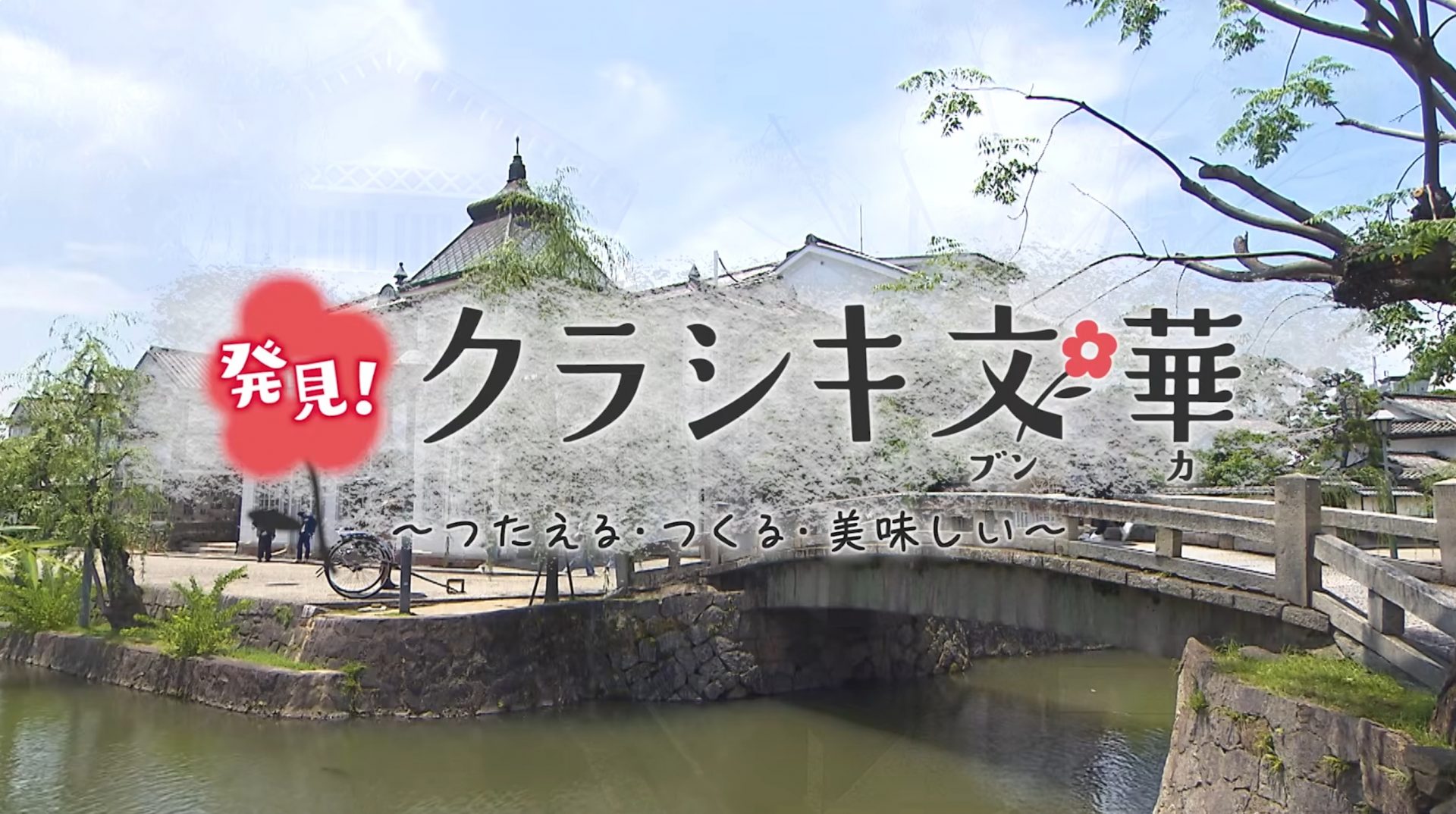 特別番組の見逃し配信がスタートしました