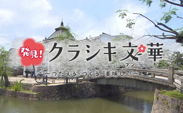 特別番組の見逃し配信がスタートしました