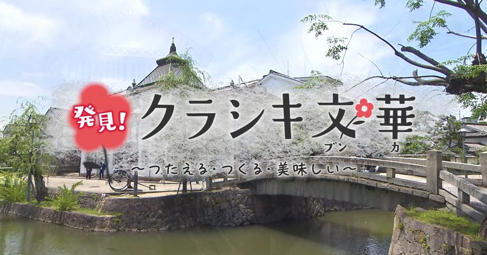 特別番組の見逃し配信がスタートしました